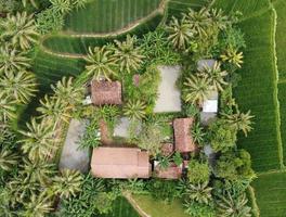 Drohne Topf von ein Haus im das Mitte von Reis oder ein Wald umgeben mit mehrere Fisch Teiche und viele von Bäume und Pflanzen foto