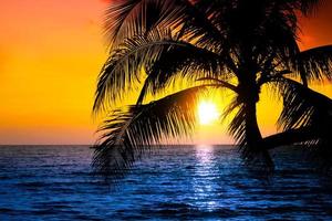 schöner tropischer sonnenuntergangstrand mit palme und rosa himmel für reise und urlaub in der urlaubsentspannungszeit foto