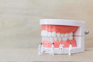 Miniaturzahnärzte und Krankenschwestern beobachten und diskutieren über menschliche Zähne mit Zahnfleisch und Schmelzmodell auf einem hölzernen Hintergrund