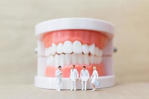 Miniaturzahnärzte und Krankenschwestern beobachten und diskutieren über menschliche Zähne mit Zahnfleisch und Zahnschmelzmodell auf einem hölzernen Hintergrund