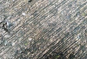 Zement Fußboden mit gemustert Kieselsteine 01 foto