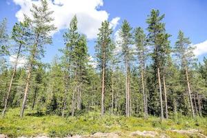 Landschaft in Schweden, Europa foto