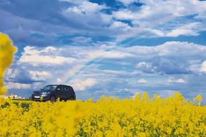 Auto Fahrten. Feld mit ein Regenbogen im das Blau Himmel foto