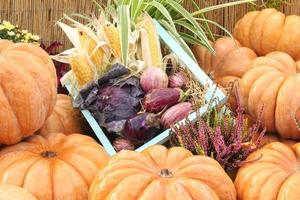 Bio-Kürbis und Gemüse in Holzkiste auf Landwirtschaftsmesse. Ernten des Herbstzeitkonzepts. Garten Herbst natürliche Pflanze. Thanksgiving-Halloween-Dekor. festlicher bauernhof ländlicher hintergrund. veganes Essen. foto