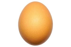 schließen oben von einer braun Hähnchen Ei isoliert auf Weiß Hintergrund. Ostern Ei. Single Henne roh Ei. natürlich Ernährung Lebensmittel. gesund Zutat Mahlzeit Protein Produkt. foto