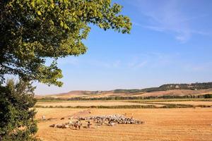 szenisch ländlich Landschaft foto