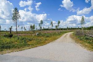 Landschaft in Schweden, Europa foto