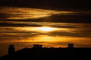 Silhouette von Gebäuden unter bewölktem Himmel während der goldenen Stunde foto