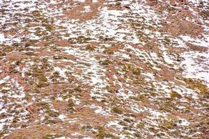 schneebedeckte Berglandschaft foto