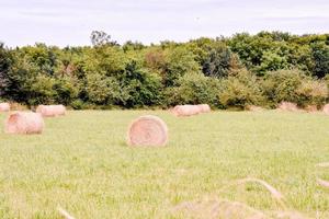 szenisch ländlich Landschaft foto