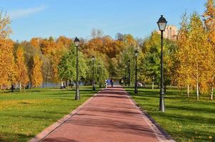 szenisch Herbst Landschaft. schön Natur Hintergrund. foto