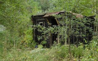 verlassen hölzern Haus im das Wald. alt beschädigt hölzern Haus im das hoch Gras. foto