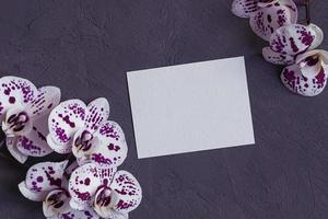 Rosa und Weiß Orchidee Blumen mit leer Papier Karte auf dunkel grau Hintergrund foto