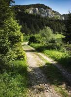 Weg zu den sonnigen Ausläufern des Tals foto