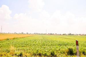 szenisch ländlich Landschaft foto