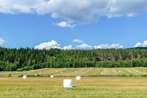 szenisch ländlich Landschaft foto