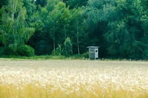 szenisch ländlich Landschaft foto