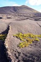 szenisch ländlich Landschaft foto