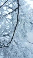 das schön gefroren Berge Aussicht bedeckt durch das Weiß Schnee und Eis im Winter foto