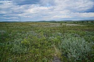 Landschaft in Schweden, Europa foto