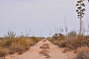 Straße durch das felsig Landschaft foto