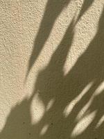 Blätter Schatten Hintergrund auf Beton Mauer Textur, Blätter Baum Geäst Schatten mit Sonnenlicht foto