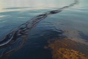 Öl Leck von Schiff , Öl verschütten Verschmutzung verschmutzt Wasser Oberfläche. Wasser Verschmutzung wie ein Ergebnis von Mensch Aktivitäten foto