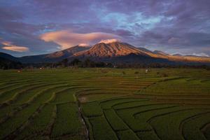 schön Morgen Aussicht Indonesien. Panorama Landschaft Paddy Felder mit Schönheit Farbe und Himmel natürlich Licht foto