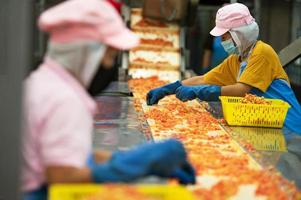 Arbeitskräfte Hacken Tomaten zum Dosen- Tomate Soße im industriell Produktion Muster, industriell Produktion von Tomaten und Tomate Paste, Essen Industrie, Essen Fabrik foto