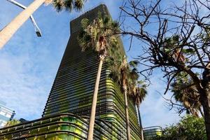 modern Büro Gebäude mit farbig Glas und Palme Bäume foto