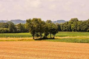 szenisch ländlich Landschaft foto