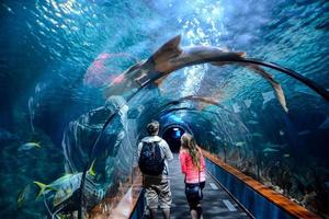 Menschen im das Aquarium Tunnel- Spanien 2022 foto