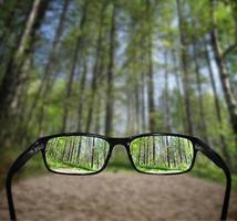 Aussicht auf Wald im Sommer- durch Brille - - Vision Konzept foto