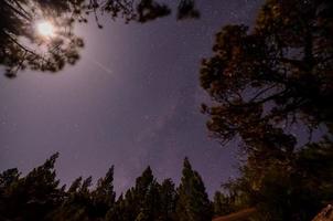 szenisch Wald Landschaft foto