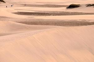 Dünen im das Sand foto