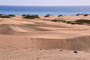 Sanddünen am Meer foto