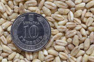 ukrainisch Griwnja Münze Lügen auf Haufen von Weizen Körner foto