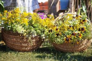 Wildblumen und Garten Blumen im ein Korbweide Korb. foto