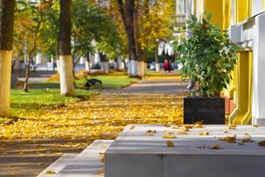 Herbst Stadt Landschaft. Gelb Blätter Lüge auf das Asphalt Weg. foto