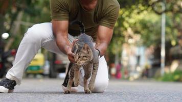 ein Junge halten ein wild Katze foto