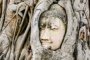 Buddhist Skulpturen beim ein Tempel im Bangkok, Thailand foto