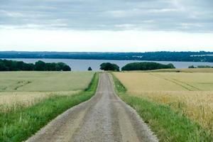 Landschaft in Schweden, Europa foto