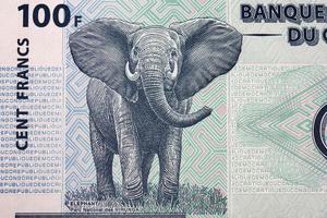 Elefant von kongolesisch Franc foto