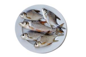 roh frisches Wasser Fisch zum Kochen auf Weiß Platte, isoliert auf Weiß Hintergrund. Konzept, essbar lokal Fisch von Fluss im Thailand. Plötze Fisch. foto