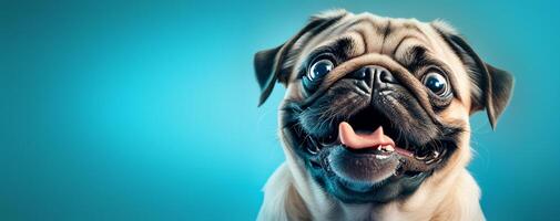 ai generiert glücklich Mops Hund auf Blau Hintergrund foto