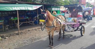 Surakarta, Indonesien, Januar 8, 2023 dokar Wisata oder Streitwagen Spritztour im Sonntag Auto kostenlos Tag surakarta foto