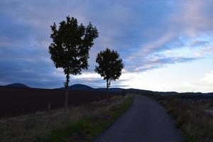 düster Sonnenuntergang Allee unter Herbst Himmel foto