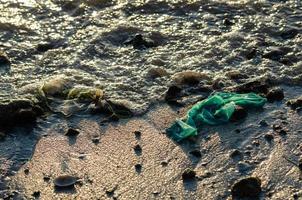 Grün Plastik beim Meer foto