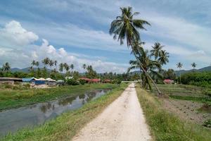 Grün Szene beim ländlich Pfad beim balik pulau foto