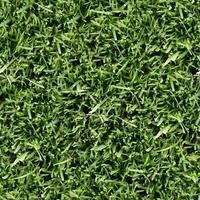 Grün Gras Textur können Sein verwenden wie Hintergrund foto